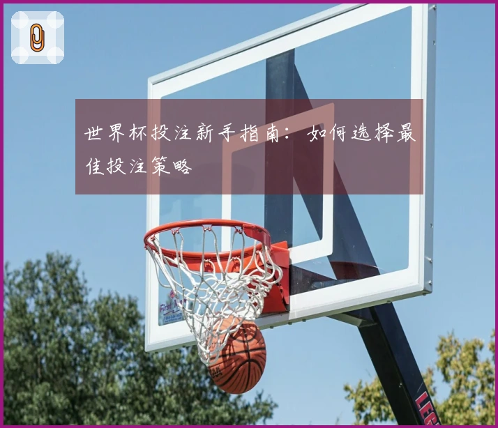 世界杯投注新手指南：如何选择最佳投注策略
