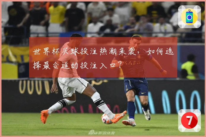 世界杯买球投注热潮来袭，如何选择最合适的投注入口？