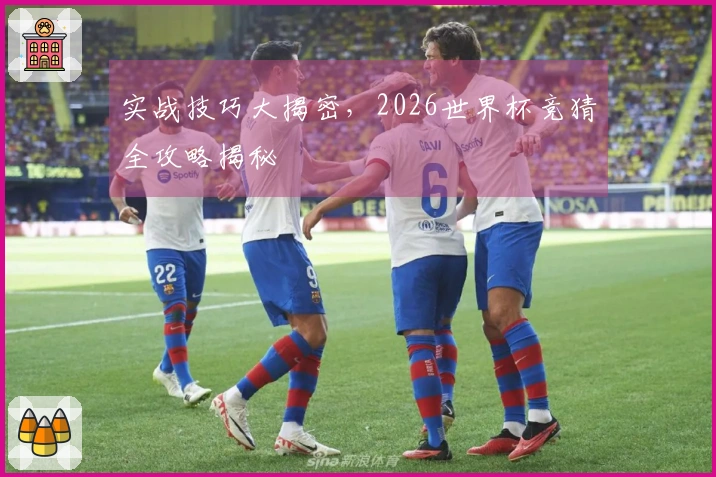 实战技巧大揭密，2026世界杯竞猜全攻略揭秘